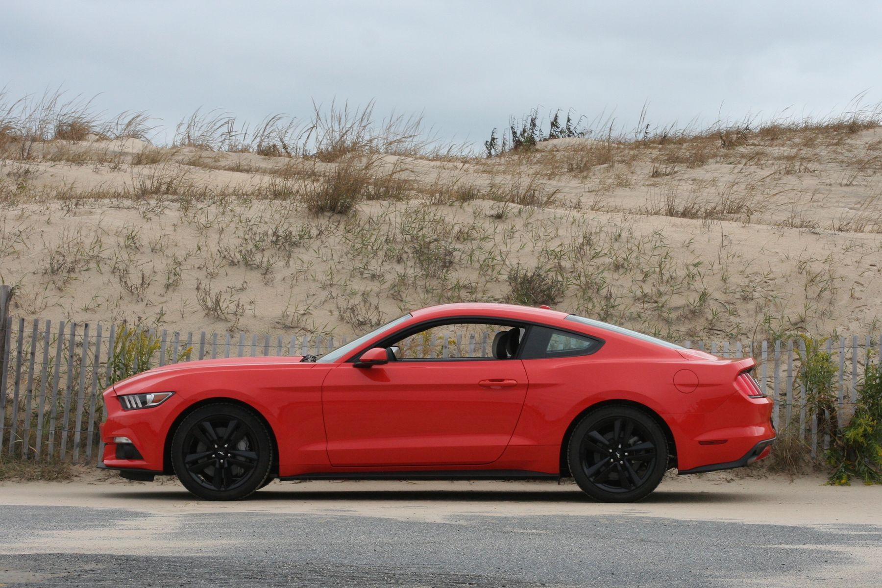 2015 Ford Mustang | 2015 Ford Mustang EcoBoost PP (Bone Stock)