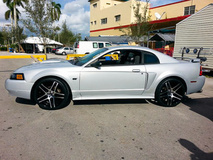 Mustang on Ruff R954's