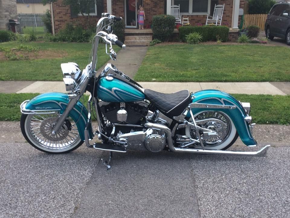    | blue softail