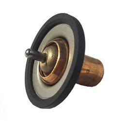 Low Temp Thermostat