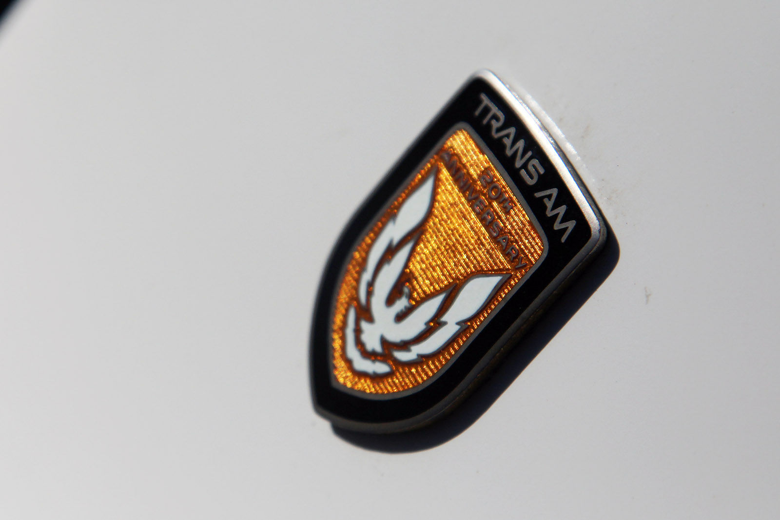 1989 Pontiac Trans Am | 1989 Trans Am Turbo Pace Car