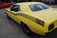 Barracuda