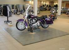 Harley on Deck