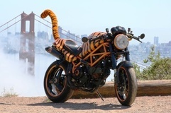 '00 900 Monster Tigerbike