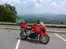 Suzuki TL1000s 3- Before