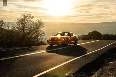 2015 Ford Mustang | Ford Mustang Sport Y5 Non Concave