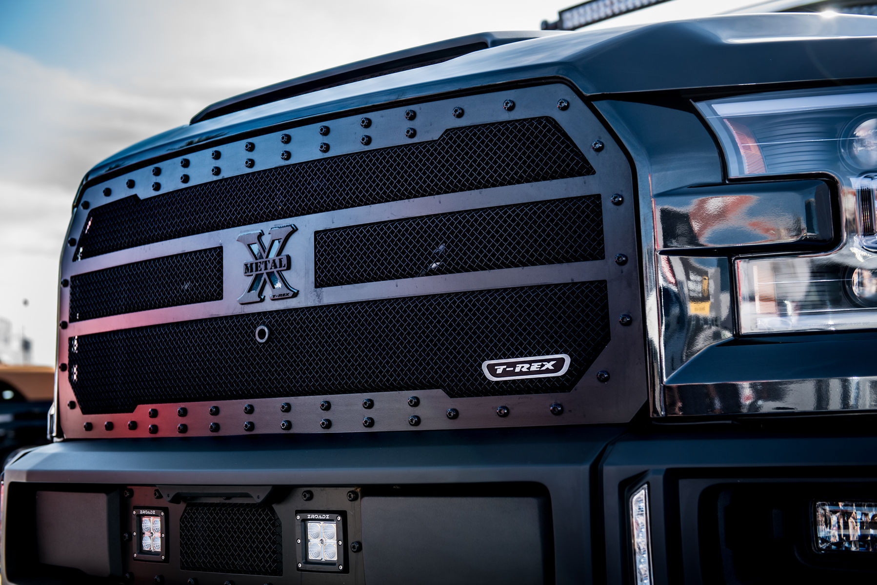 2015 Ford F-150 | Motoroso F-150 - T-rex Grille
