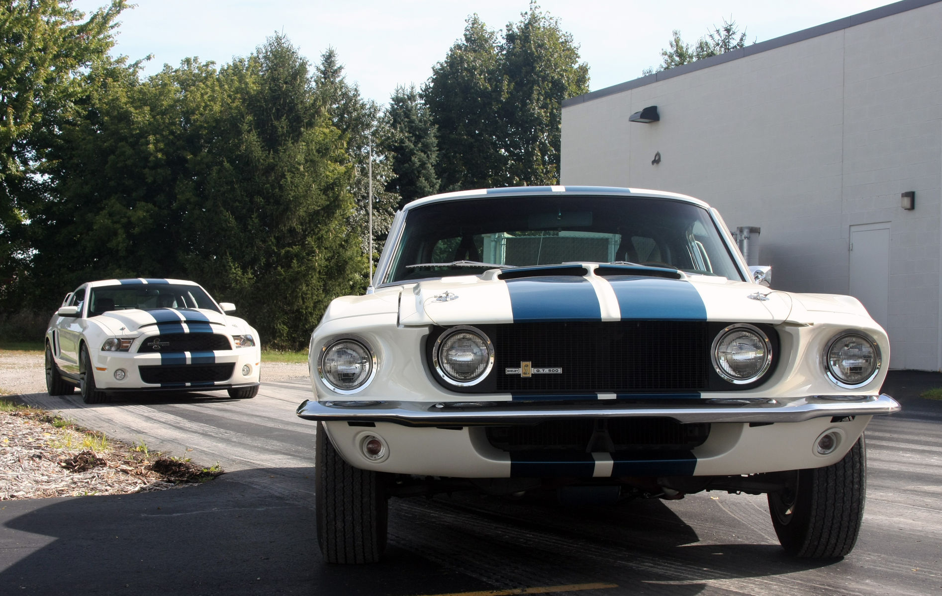 1967 Ford Mustang | 1967 GT500