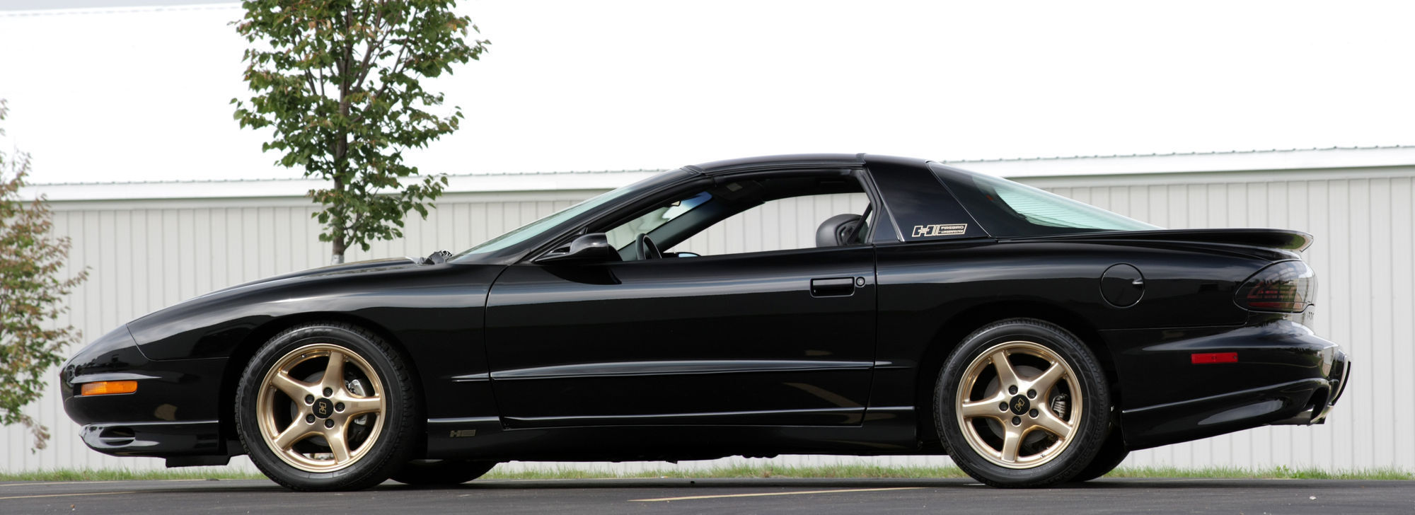 1997 Pontiac Firebird | 1997 Hurst Firebird by Lingenfelter