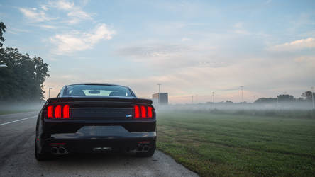 2015 Ford Mustang | 2015 ROUSH Stage 2 Mustang