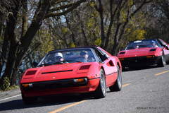 308s