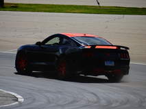 MRT TKO Mustang
