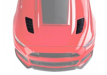 Roush Heat Extractors