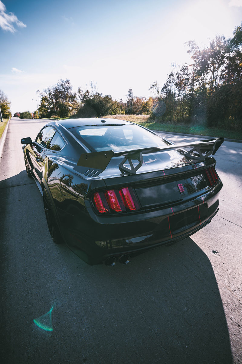 2019 Ford GT350R | 2019 Shelby GT350R Carbon Fiber Edition by Speedkore - Rear Shot FordSEMA