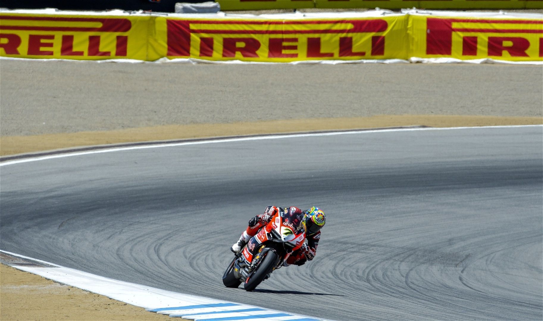 2015 Ducati Panigale R | Chaz Davies