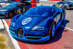 goldRush Rally 7