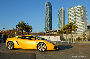 Gallardo