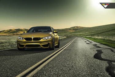 2013 BMW 8 Series | BMW  F82 M4