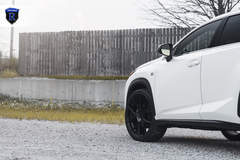 Lexus NX200t