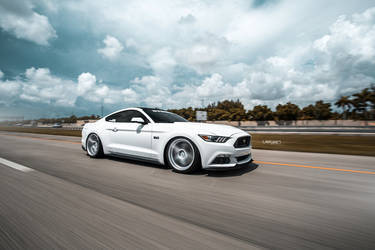 2016 Ford Mustang | White Mustang GT | Classic5 Matte Silver