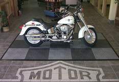 Harley on Deck