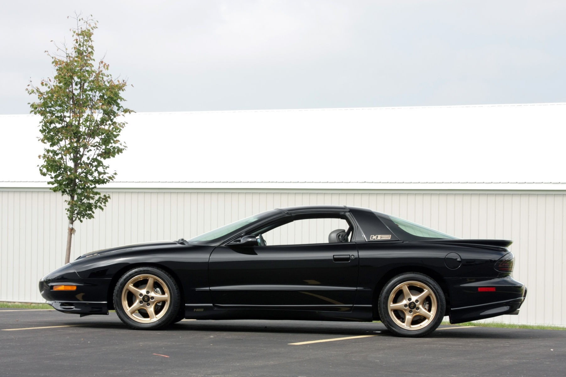 1997 Pontiac Firebird | 1997 Hurst Firebird by Lingenfelter