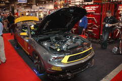 Last Ride Mustang