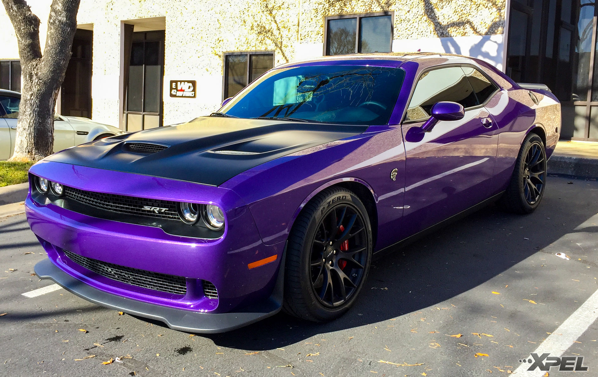  Dodge Challenger | XPEL Austin protecting this beautiful car with XPEL ULTIMATE