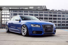 Blue Audi S5 - Front Stance