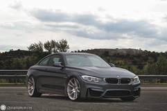 Quantum44 S4 - BMW M4  