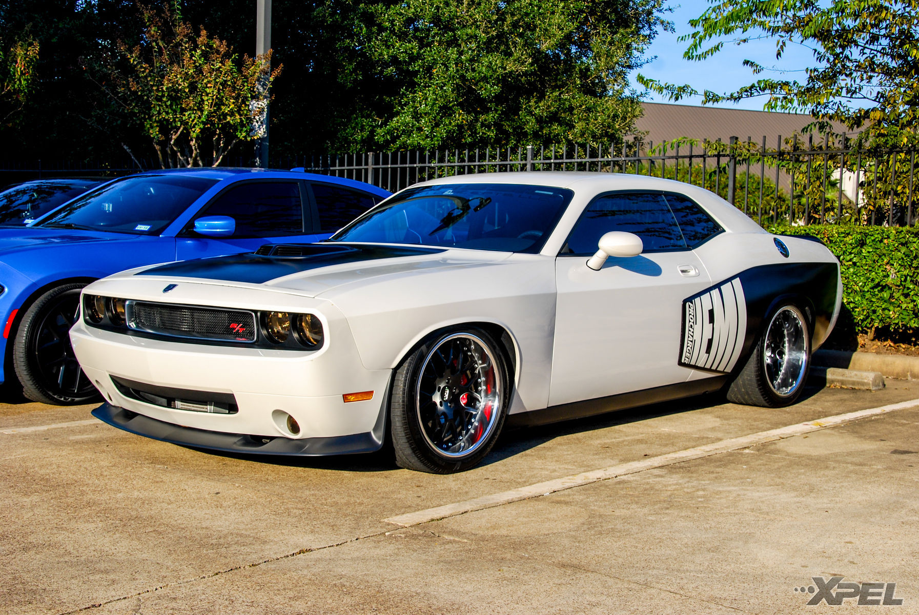 Dodge | Lone Star Mopar Fest in Houston, Texas