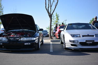Silvia and Fair Lady Z