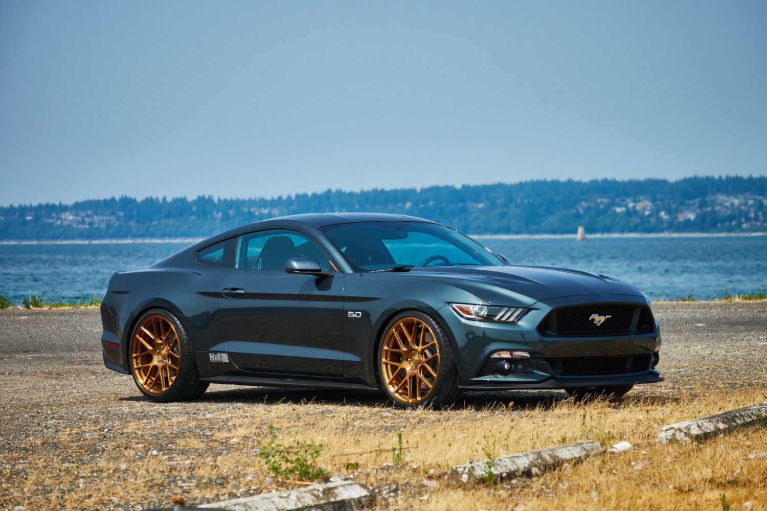 2015 Ford Mustang | H&R 2015 Mustang GT Premium Fastback