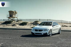 BMW M4 - White Hood Shot
