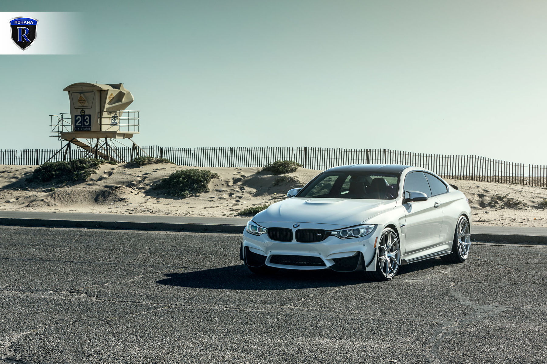 2016 BMW M4 | BMW M4 - White Hood Shot