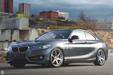 Quantum44 TS1 - BMW 2 Series Coupe 