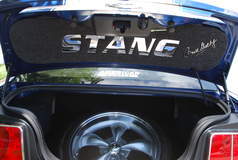 Carroll Shelby Mustang