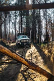 2019 Ford F-250 XLT SRW by Wilderness Collective - Offroad FordSEMA