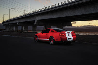 Mustang GT500 Sport Y5 Concave
