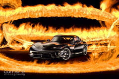 Hot Viper
