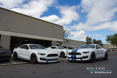 2017 Shelby GT350