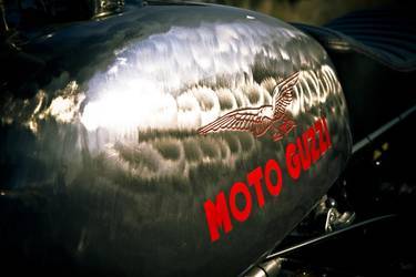 Gorgeous Guzzi Tank