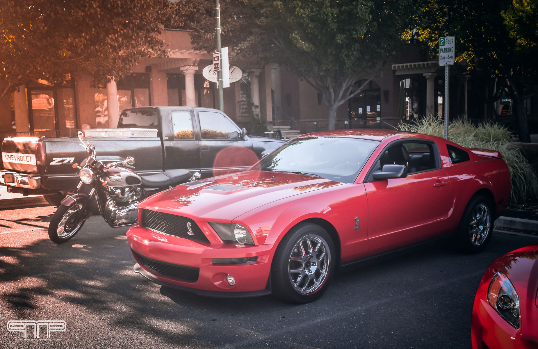 2007 Ford Shelby GT500 | Shelby GT500
