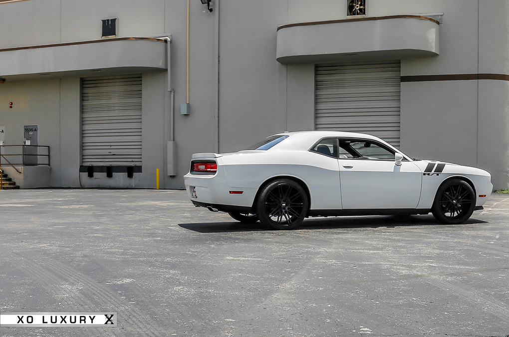 2013 Dodge Challenger | '13 Dodge Challenger on XO Milan's