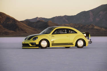 Volkswagen Beetle LSR