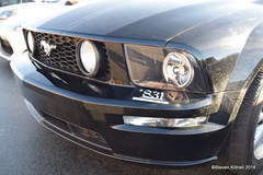 831 Stang