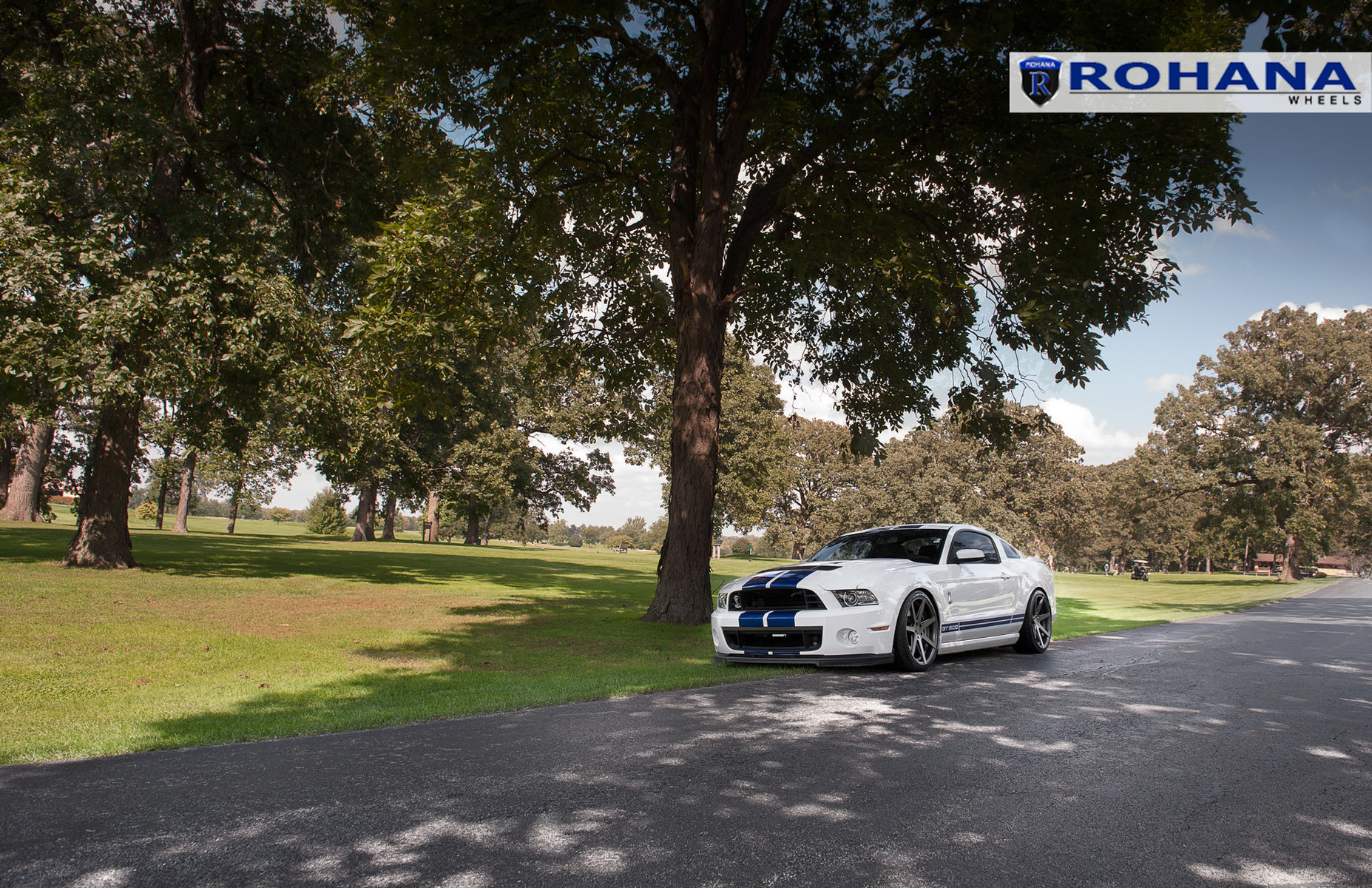  Ford Shelby GT500 | Ford Mustang GT500
