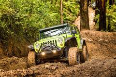 light bars