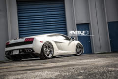 OUR CLIENT'S LAMBORGHINI GALLARDO WITH 19" ASANTI AF-173 WHEELS