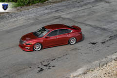 Custom Nissan Maxima - Driver Side Top Views